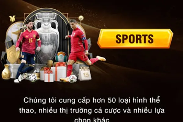 Hình ảnh minh họa cá cược thể thao tại 123WIN